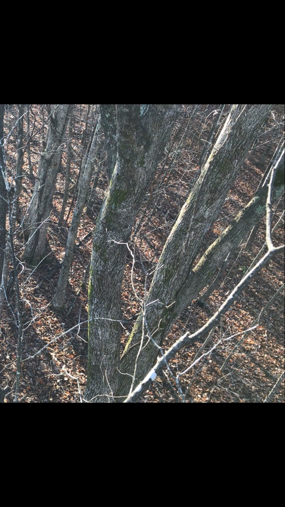 a780bf127d340aa53b372c89f3afb859.jpg
