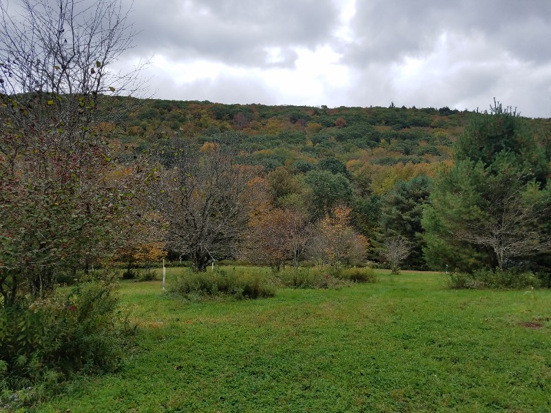 20191002_141043-800x600.jpg