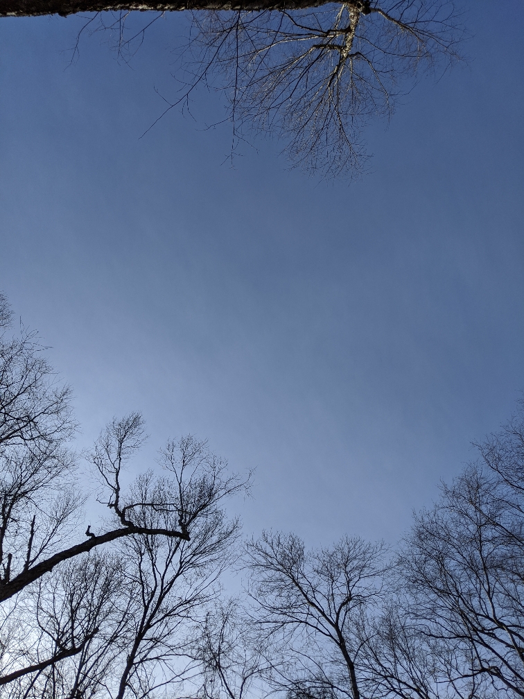 cc28d40629d79e842563960e167e0a6d.jpg