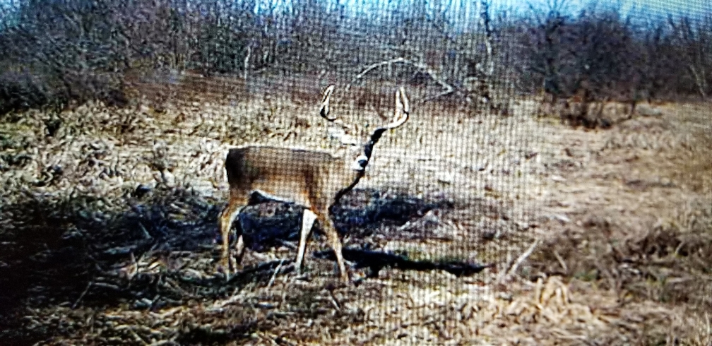 1825f3bf8b5ba6e01ad754feb9a49217.jpg
