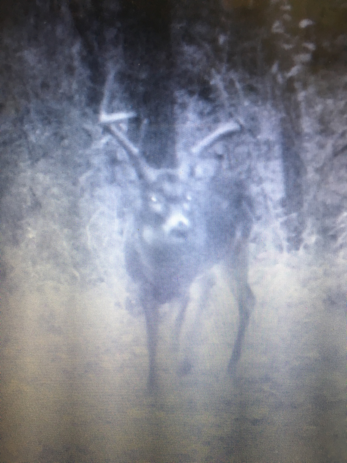 a3c51050e32714589d76c63bc2270d80.jpg