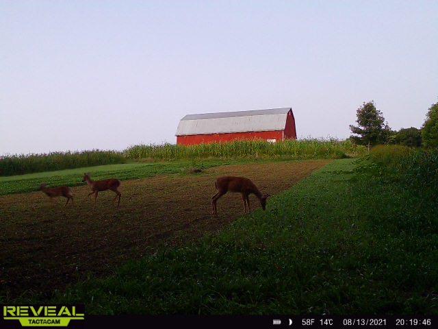 6ba143640f39fcbe4b2e252572da2ad6.jpg