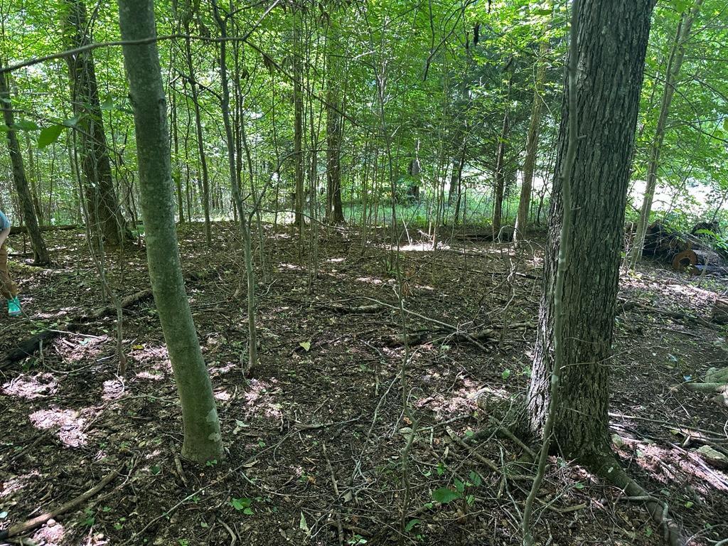 57f6d44783164eaec106b1bef6850204.jpg